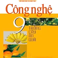 Công nghệ Lớp9 Trồng cây ănquả