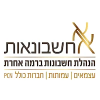 א א חשבונאות