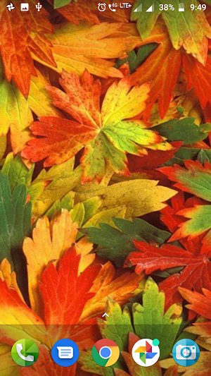 HD Nature Backgrounds Screenshot 2