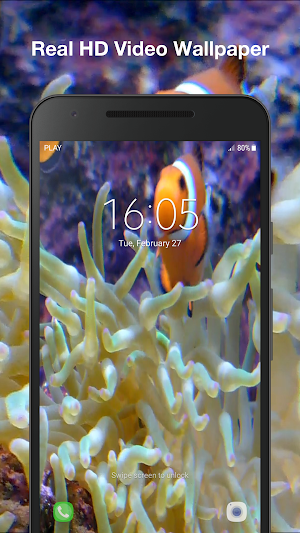 Real Fish Live Wallpaper Screenshot 2