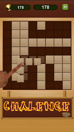 Wood Block Puzzle 2021 Screenshot 3
