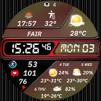 N-SPORT733 Weather Custom Face