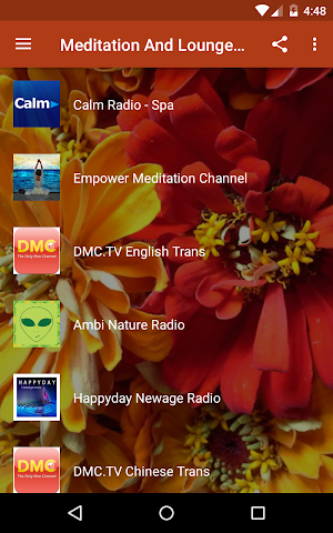 Meditation Lounge Radio - Reiki, Yoga, Relax Music Screenshot 0