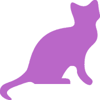 Cats Images
