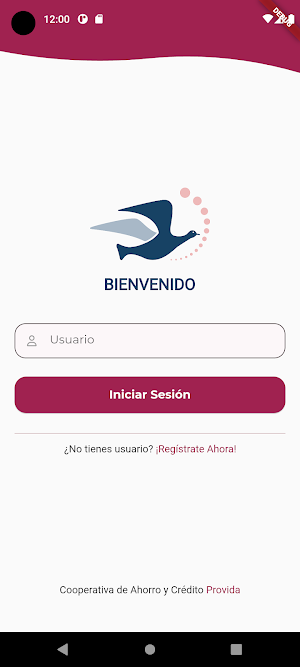 Provida en Línea Screenshot 1