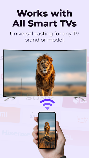 Screen Mirroring - Cast to TV Screenshot 3