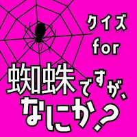 クイズ for 蜘蛛ですが なにかゲームアプリ