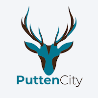 PuttenCity.nl - Putten Nieuws
