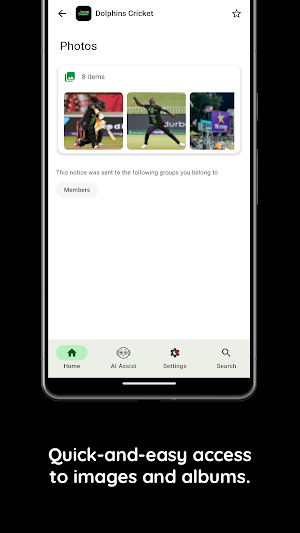 Dolphins Cricket Screenshot 3