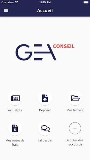 GEA CONSEIL Screenshot 1