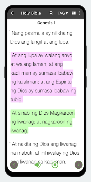Tagalog English Bible Offline Screenshot 1