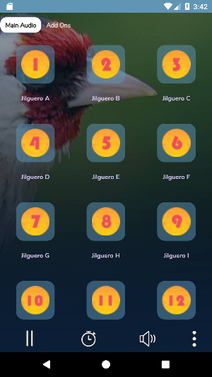Jilguero Cantando Reclamo Screenshot 1