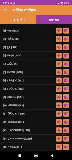 Punjabi Bible (ERV) Screenshot 0