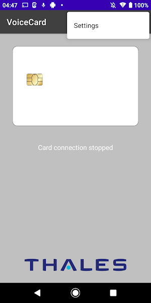 VoiceCard Companion Screenshot 2