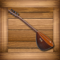 Baglama Pro