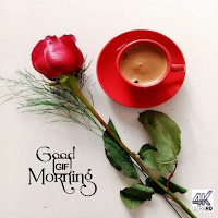 GoodMorning GoodNight GIF 2023