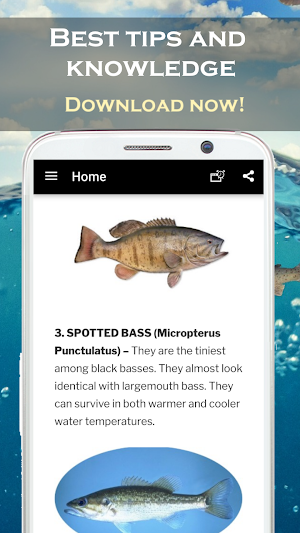 Bass fishing 🎣 Full Course! ? Screenshot 3