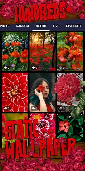 red flower wallpaper Screenshot 3