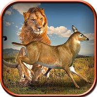 Wild Lion Simulator Game