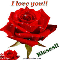 Love Flowers GIF  2023