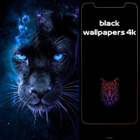 black wallpapers 4k