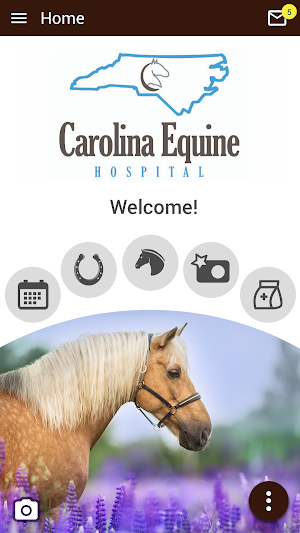 Carolina Equine Hospital Screenshot 0