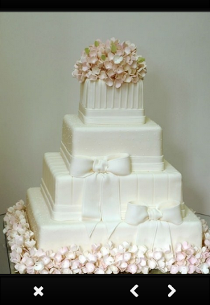 Wedding Cake Screenshot 1