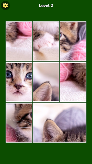 Jigsawcard : Solitaire Puzzle Screenshot 0