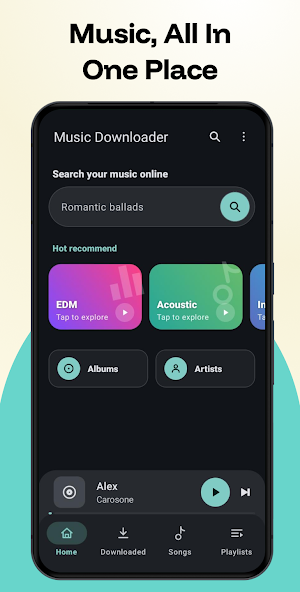 Music Downloader Screenshot 0