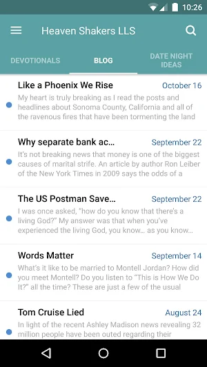 Marriage Masterpeace Screenshot 2