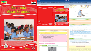 Afaan Oromoo Kutaa 11ffaa Screenshot 3