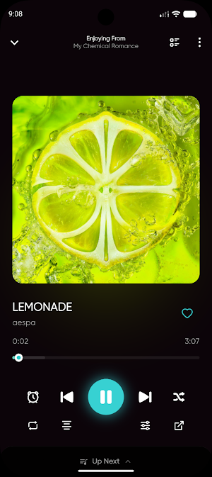 Harmony Music Screenshot 1