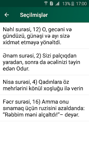 Qurani Kərim və Tərcüməsi (Əlixan Musayev) Screenshot 3