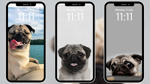 Pug Wallpapers 4K Screenshot 0