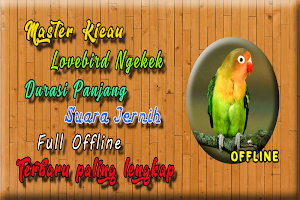 Masteran Lovebird Ngekek Panjang MP3 Screenshot 2