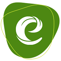 GSI