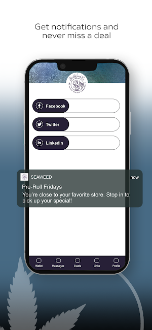 SeaWeed Co. Screenshot 2