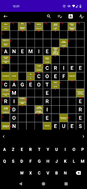 Mots Fléchés Français Screenshot 3