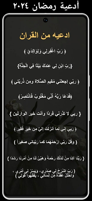 Ramadan wallpaper 2024 Screenshot 2