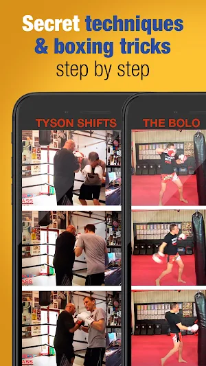 Learn boxing Screenshot 0