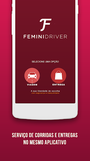 Femini Driver Passageira Screenshot 1