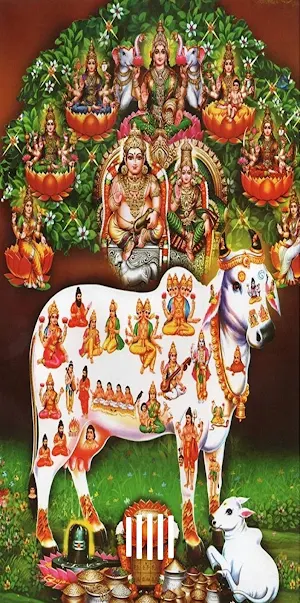 Gomatha Ashtottara Screenshot 0