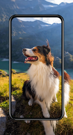 Cute Puppies Wallpapers Screenshot 2