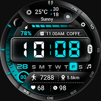 ML2U 221 Watch Face