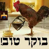 !בוקר טוב