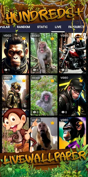 monkey wallpaper Screenshot 2