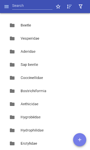 Beetles Screenshot 0