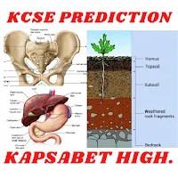 Kcse prediction: Kapsabet