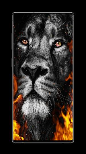 Fire Lion Wallpaper Screenshot 0