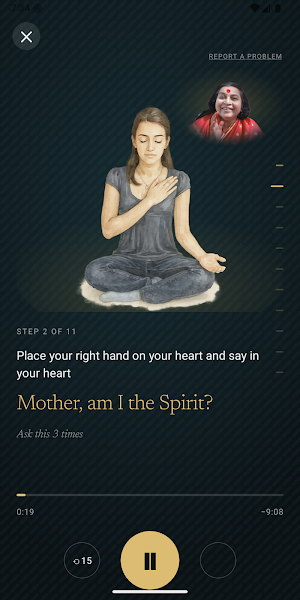 Sahaja Yoga Meditation Screenshot 1